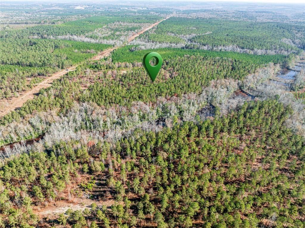Image 26 of property listing at 0 N Indian Trail Road, Sandersville, GA 31082