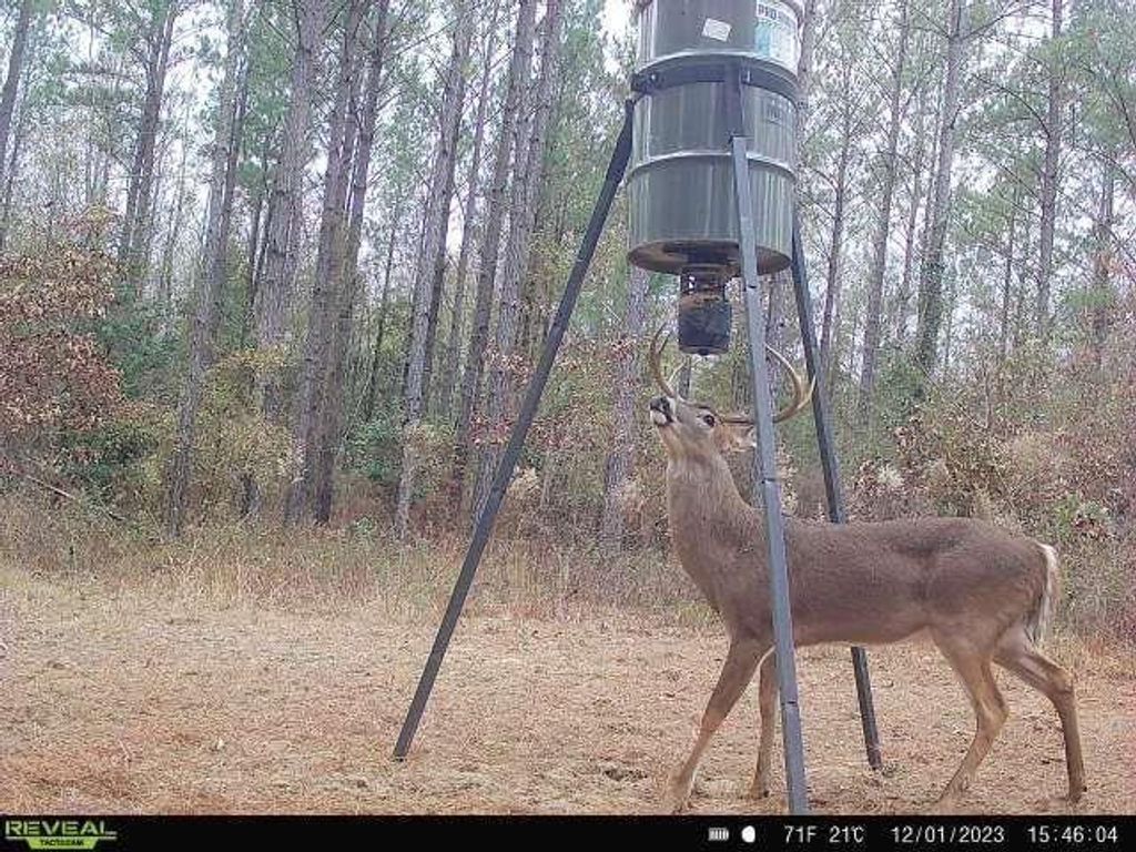Image 7 of property listing at 0 N Indian Trail Road, Sandersville, GA 31082