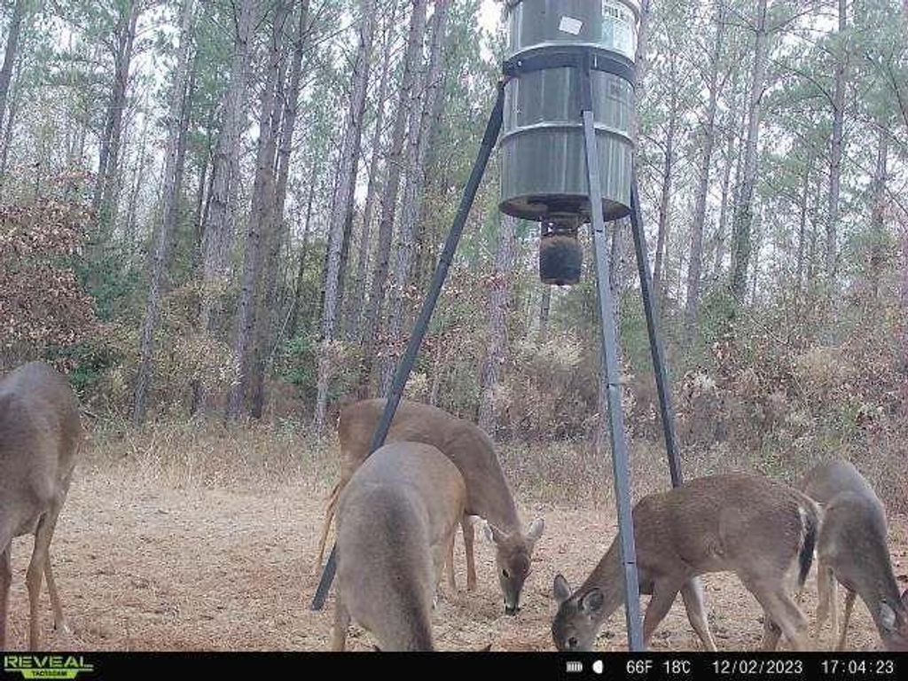 Image 8 of property listing at 0 N Indian Trail Road, Sandersville, GA 31082