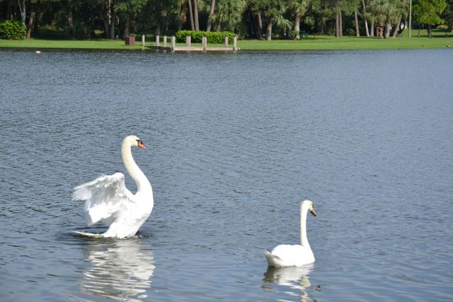 3130 KINGSWOOD Terrace, Boca Raton, FL 33431