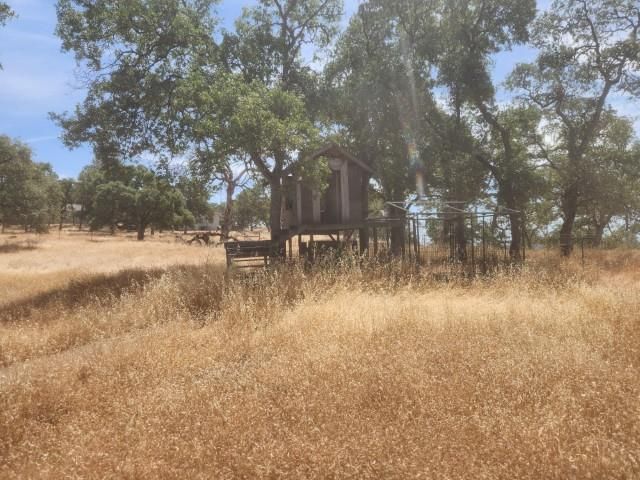 85 Sunnyhill Rd, Bangor, CA 95901