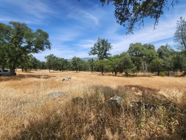 85 Sunnyhill Rd, Bangor, CA 95901