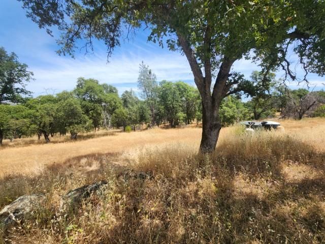 85 Sunnyhill Rd, Bangor, CA 95901