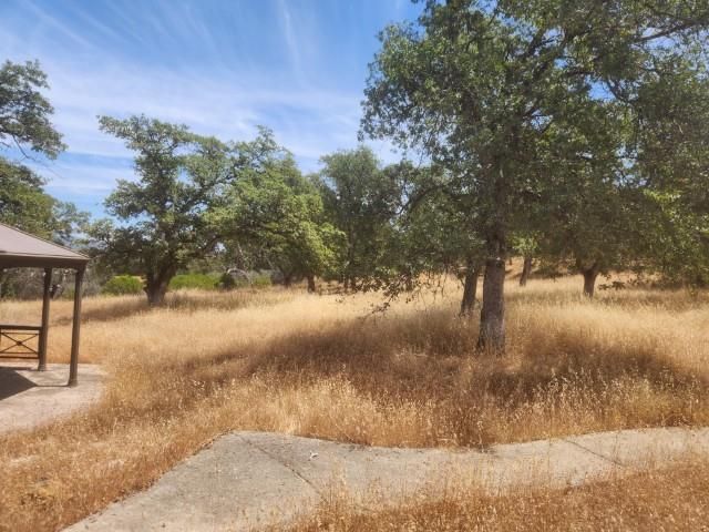 85 Sunnyhill Rd, Bangor, CA 95901