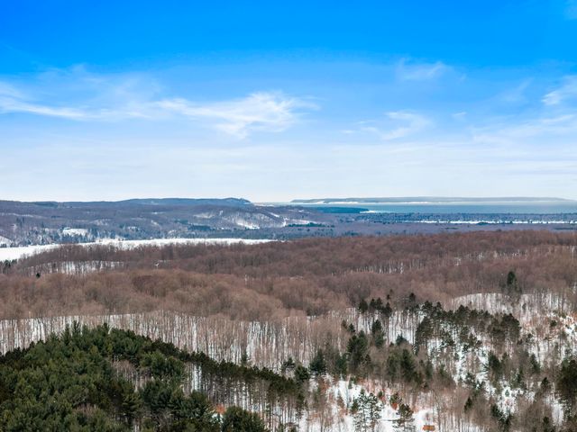 1800 E Narlock Road, Cedar, MI 49621