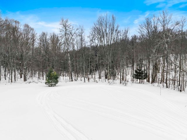 1800 E Narlock Road, Cedar, MI 49621