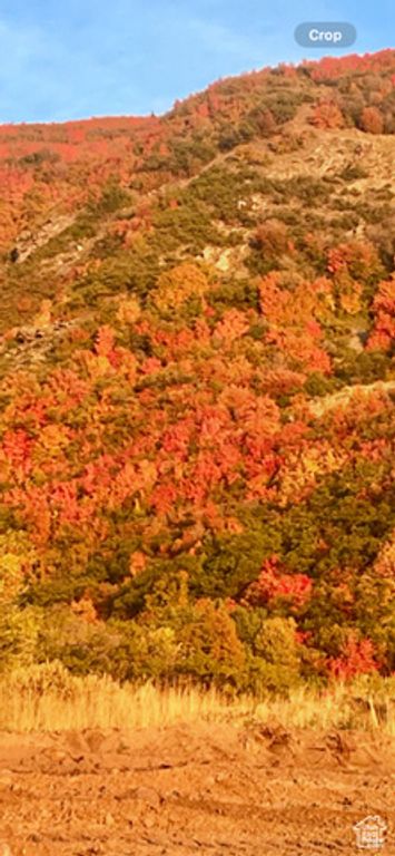 Image 5 of property listing at 75 S Grandison Ct # 69-R, Fruit Heights, UT 84037