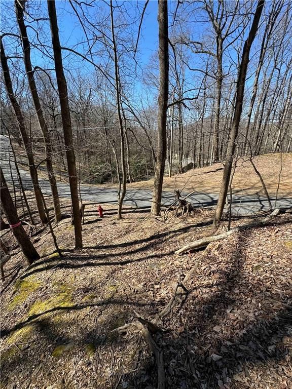 3366 Crippled Oak Trail, Jasper, GA 30143