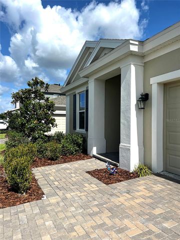 4786 BALLANTRAE BOULEVARD, Land O Lakes, FL 34638