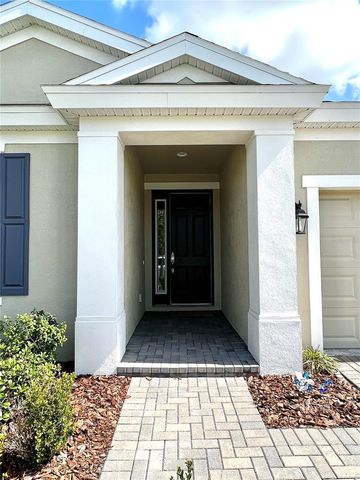 4786 BALLANTRAE BOULEVARD, Land O Lakes, FL 34638
