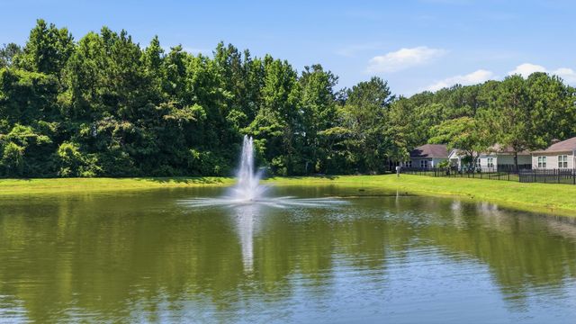 100 Oak Leaf Dr., Longs, SC 29568