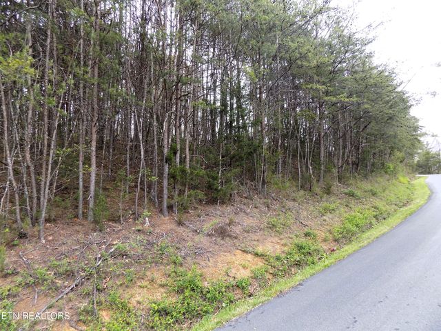 Par 067.14 Alpha Rd, Newport, TN 37821