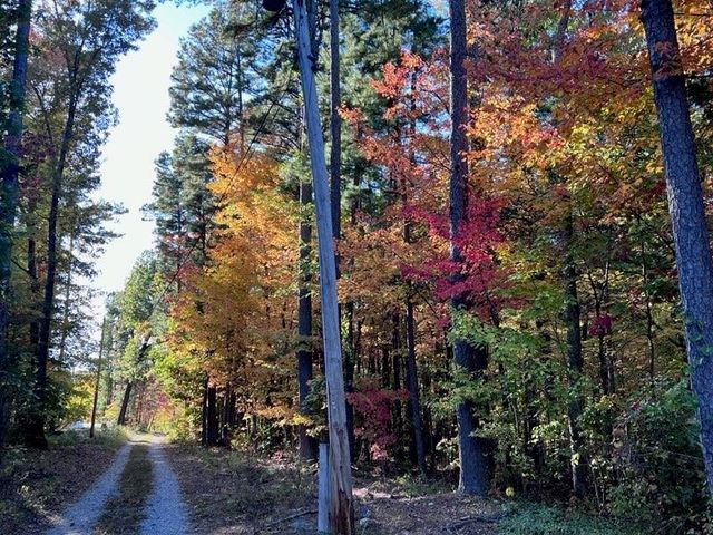 21119 N Hwy 5, Mountain View, AR 72560