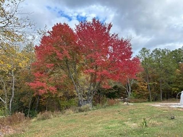 21119 N Hwy 5, Mountain View, AR 72560