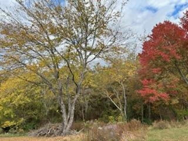 21119 N Hwy 5, Mountain View, AR 72560