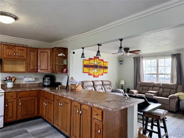 206 S Lyons Avenue, Naylor, MO 63953