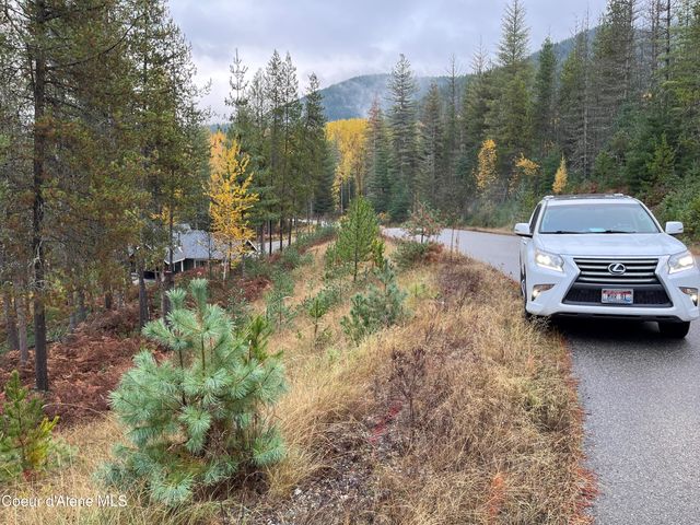 104 Blazing Saddle, Pinehurst, ID 83850