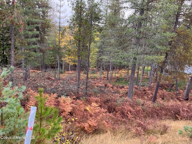 104 Blazing Saddle, Pinehurst, ID 83850