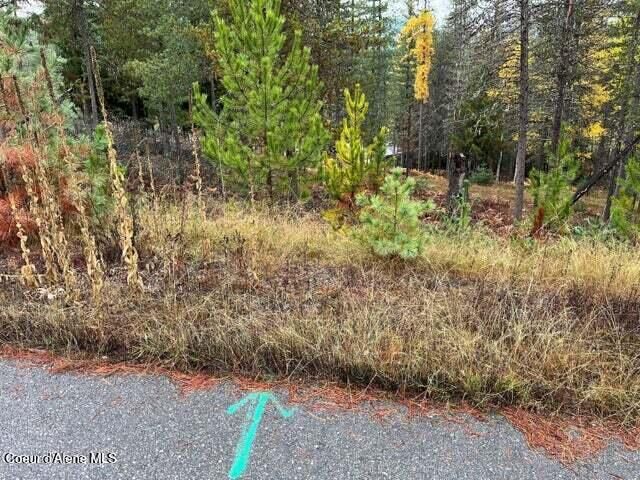 104 Blazing Saddle, Pinehurst, ID 83850