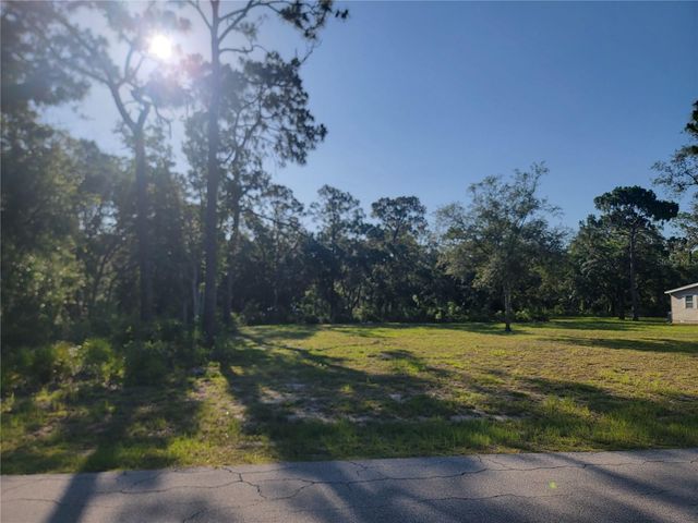 2075 S COLONIAL AVENUE, Homosassa, FL 34448