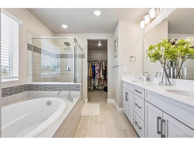 605 Silver Rock Trl, Castle Rock, CO 80104