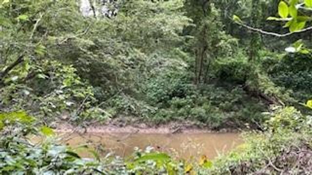 00 Rollingwood Loop, Conroe, TX 77303
