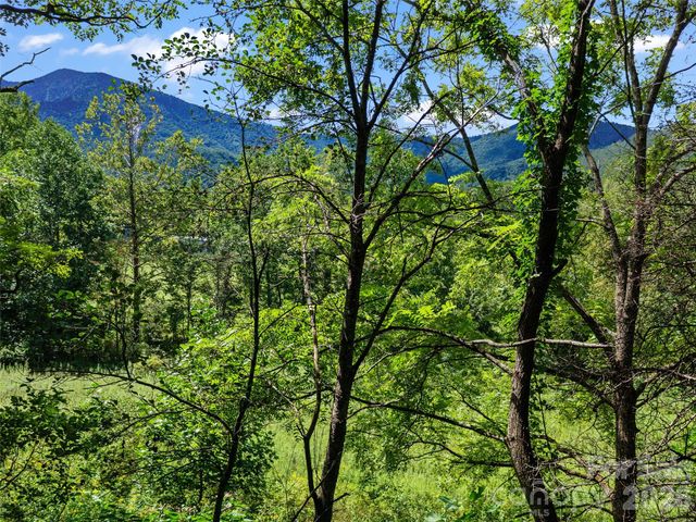 1896 State Hwy 80 S None, Burnsville, NC 28714
