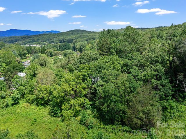 1896 State Hwy 80 S None, Burnsville, NC 28714