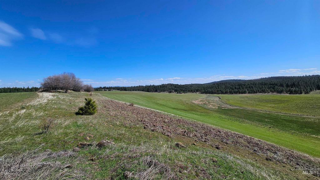 3592 Freeman Creek Rd, Lenore, ID 83541 photo 43