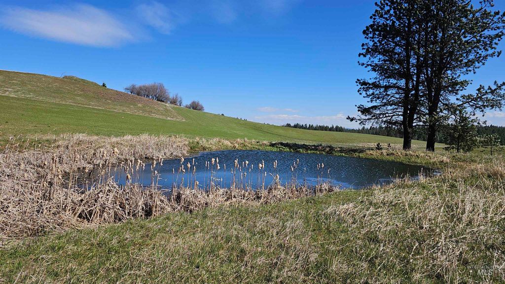 3592 Freeman Creek Rd, Lenore, ID 83541 photo 45