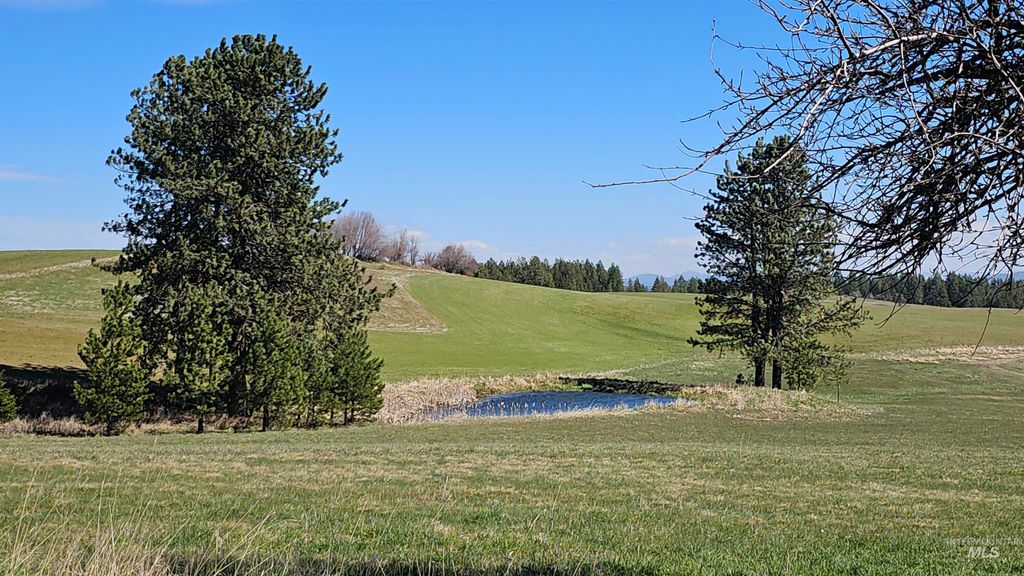 3592 Freeman Creek Rd, Lenore, ID 83541 photo 47