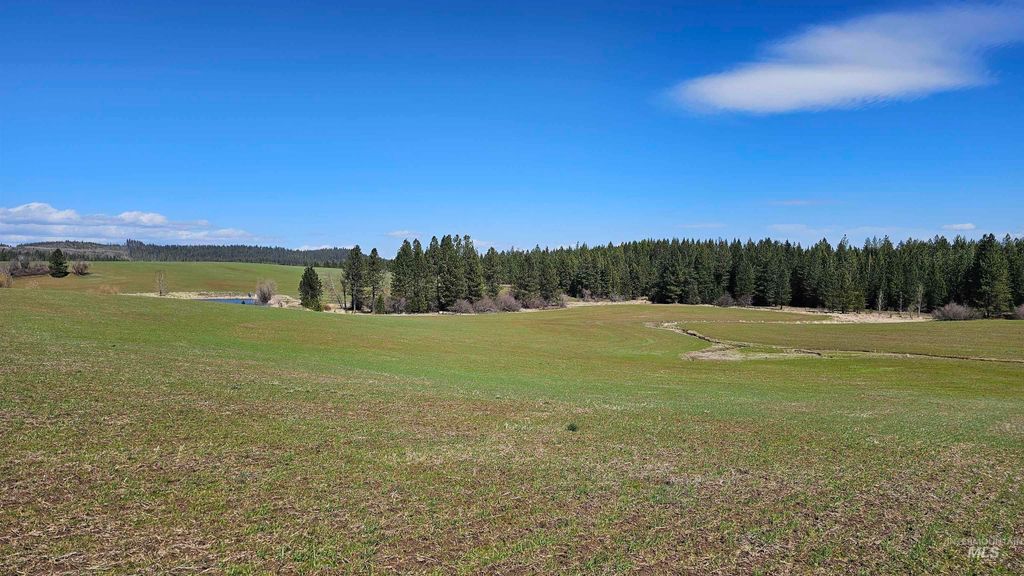 3592 Freeman Creek Rd, Lenore, ID 83541 photo 48