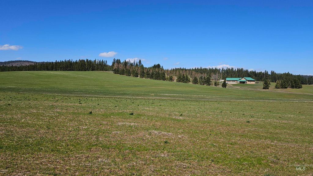 3592 Freeman Creek Rd, Lenore, ID 83541 photo 49
