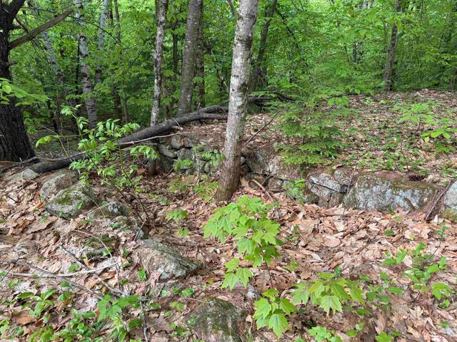 67 Old Pound Road, Effingham, NH 03882