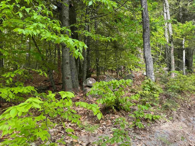 67 Old Pound Road, Effingham, NH 03882