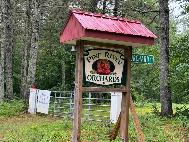 67 Old Pound Road, Effingham, NH 03882