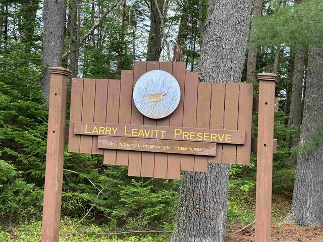 67 Old Pound Road, Effingham, NH 03882