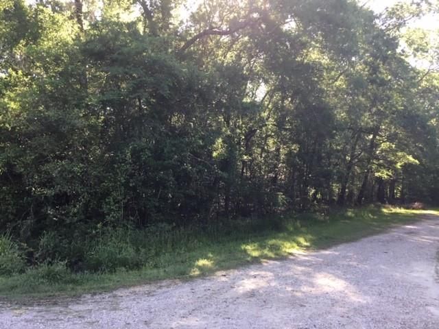 000 Brook Tree, Livingston, TX 77351