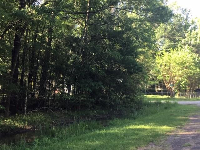 000 Brook Tree, Livingston, TX 77351
