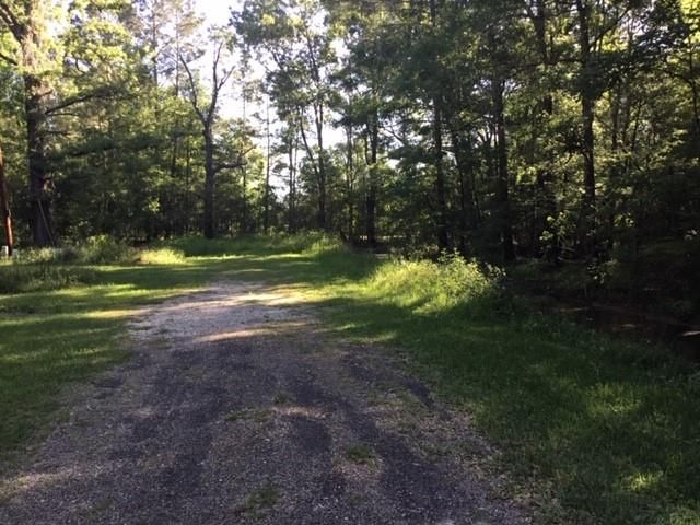 000 Brook Tree, Livingston, TX 77351