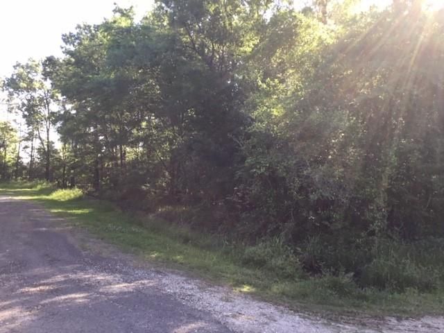 000 Brook Tree, Livingston, TX 77351