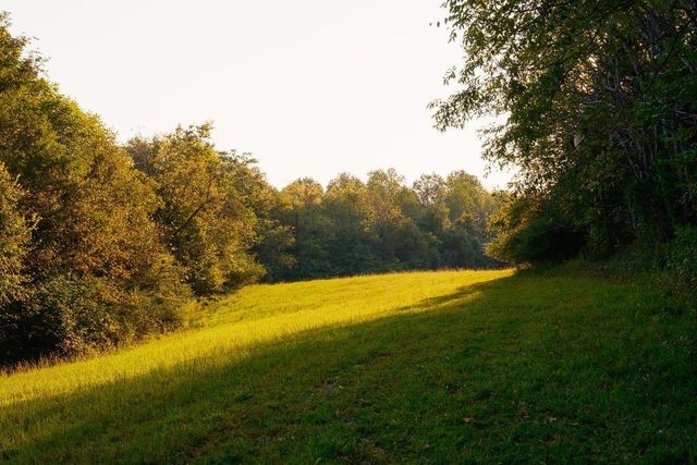 3685 Martin Ervin Rd, Santa Fe, TN 38482