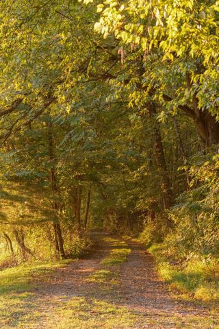 3685 Martin Ervin Rd, Santa Fe, TN 38482