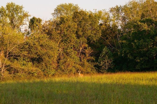 3685 Martin Ervin Rd, Santa Fe, TN 38482