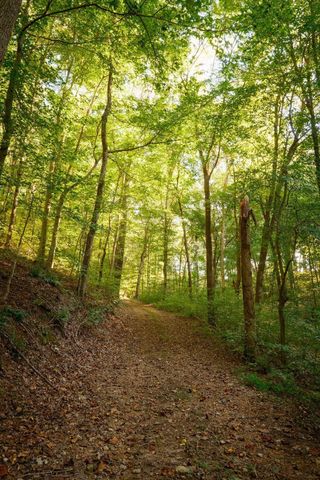 3685 Martin Ervin Rd, Santa Fe, TN 38482