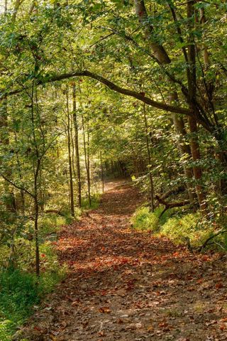 3685 Martin Ervin Rd, Santa Fe, TN 38482