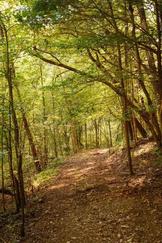 3685 Martin Ervin Rd, Santa Fe, TN 38482