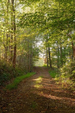 3685 Martin Ervin Rd, Santa Fe, TN 38482