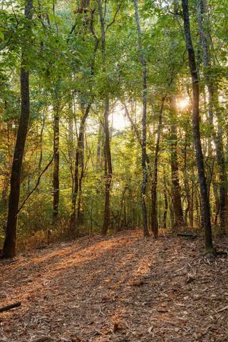 3685 Martin Ervin Rd, Santa Fe, TN 38482