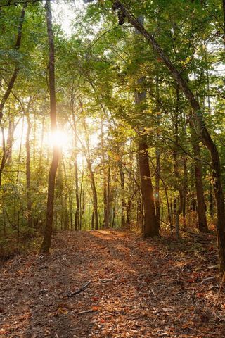 3685 Martin Ervin Rd, Santa Fe, TN 38482